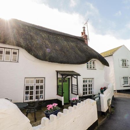 Teign Cottage Тинмут Экстерьер фото